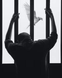 prisoner behind bars with free bird